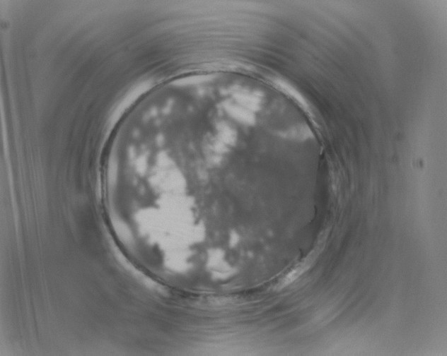 X0000076271095200610262024