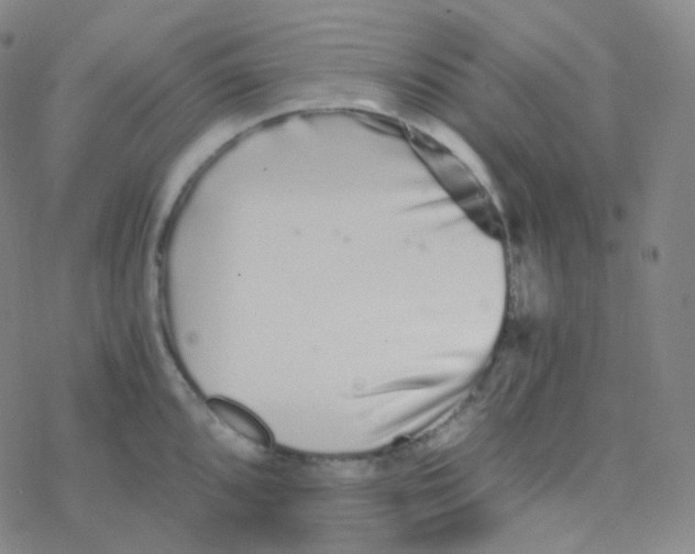 X0000076271096200610262024