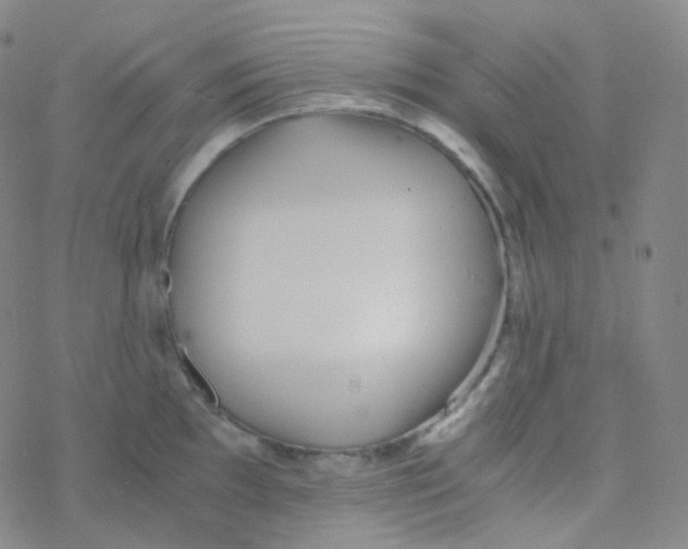 X0000076271097200610262024