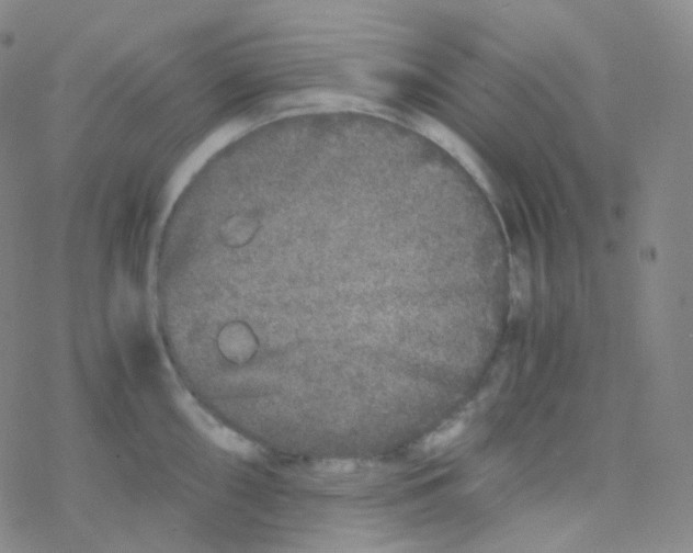 X0000076271098200610262024