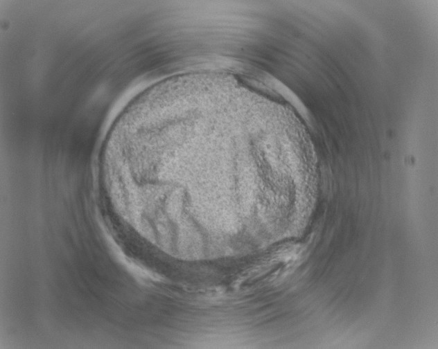 X0000076271099200610262024