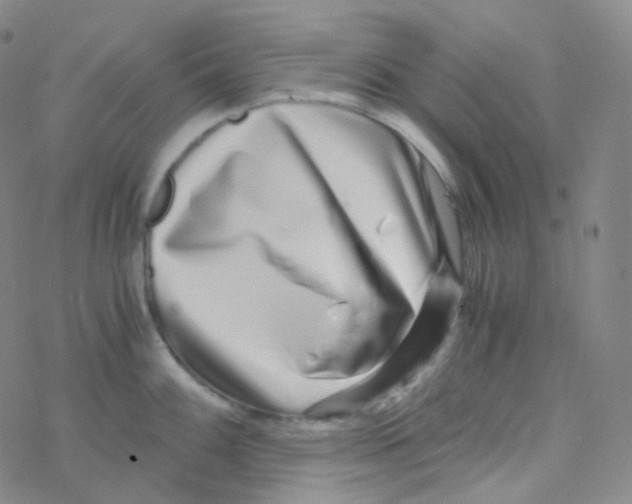 X0000076271100200610262024