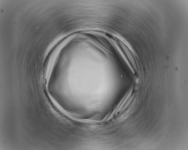 X0000076271101200610262024