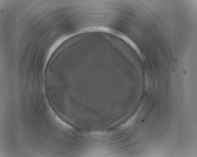 X0000076271102200610262024