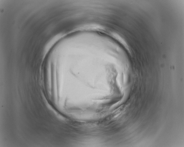 X0000076271103200610262024