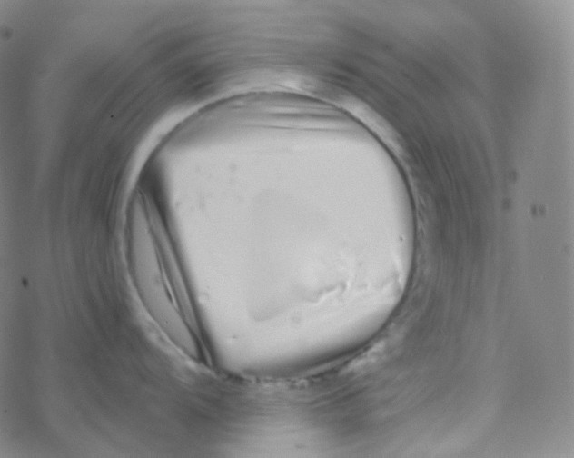 X0000076271104200610262024