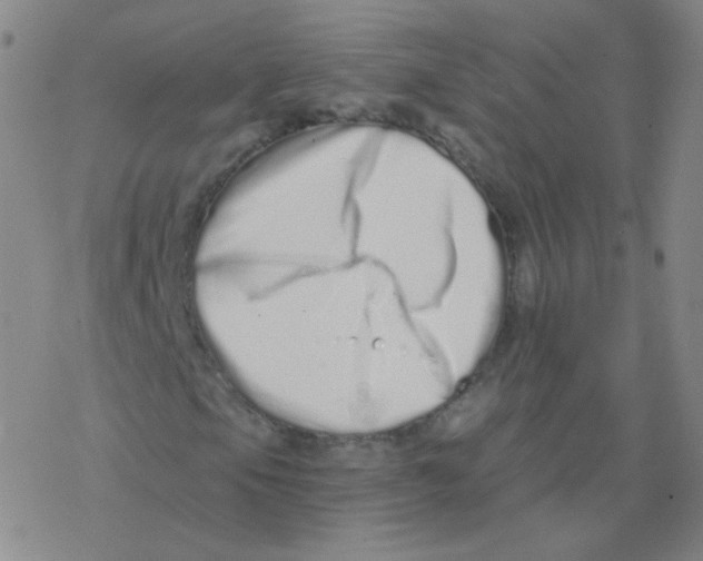 X0000076271105200610262023