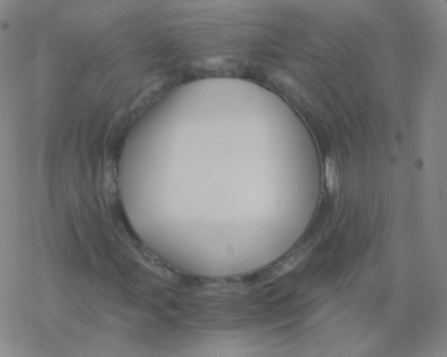 X0000076271107200610262023