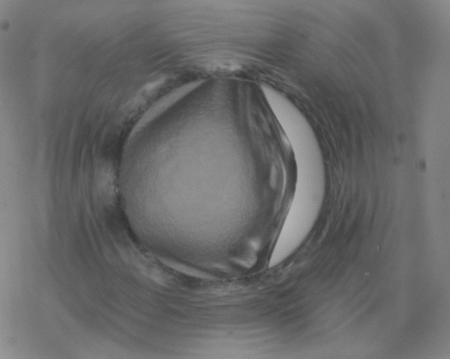 X0000076271108200610262023