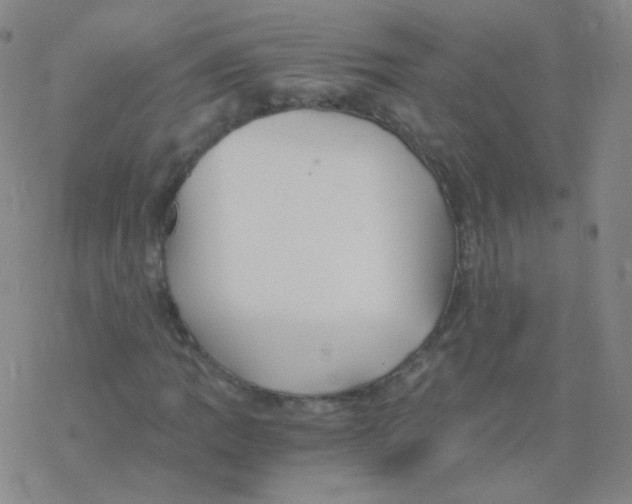 X0000076271109200610262023