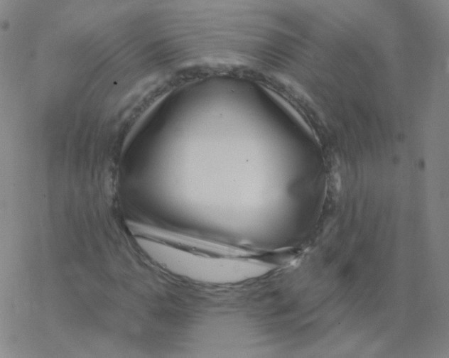 X0000076271110200610262023