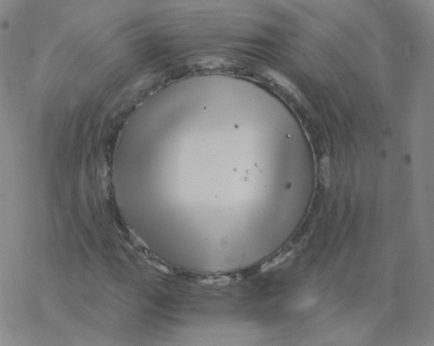 X0000076271111200610262023