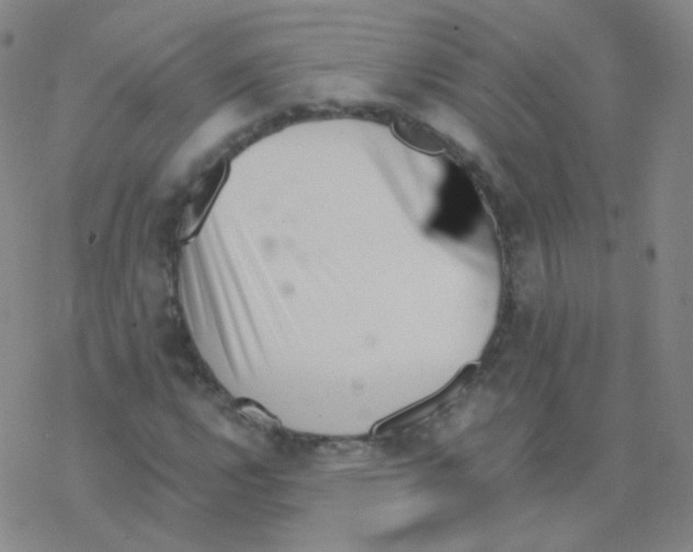 X0000076271112200610262023