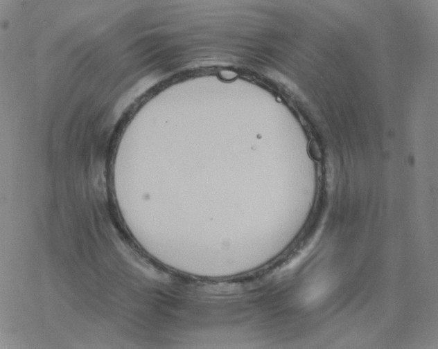 X0000076271113200610262023