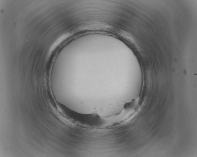 X0000076271114200610262023