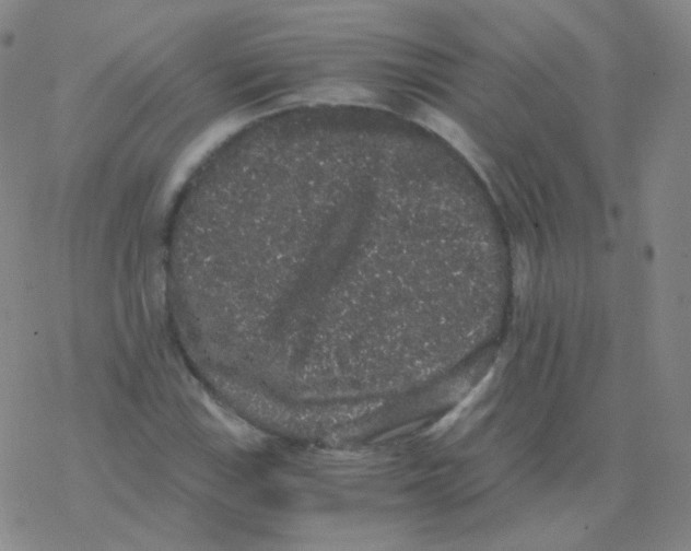 X0000076271115200610262023