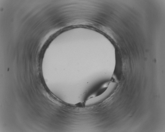 X0000076271116200610262023