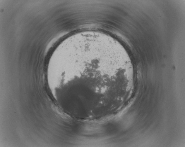 X0000076271117200610262023