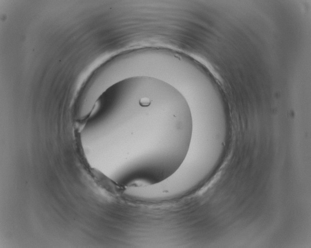 X0000076271118200610262023