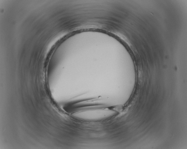 X0000076271119200610262023