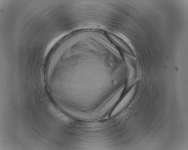 X0000076271120200610262023