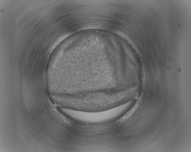 X0000076271121200610262023