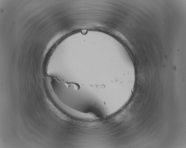 X0000076271122200610262023