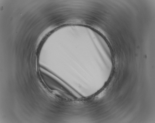 X0000076271123200610262023