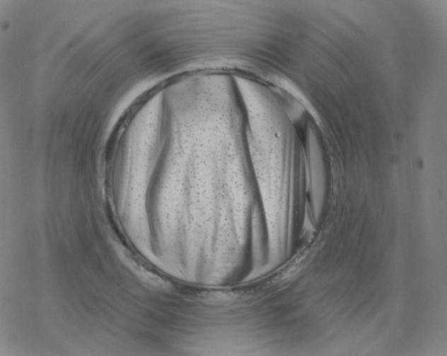 X0000076271124200610262023