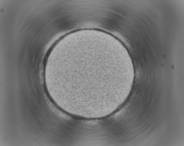 X0000076271126200610262023