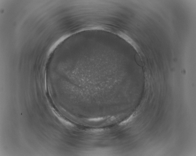 X0000076271127200610262023