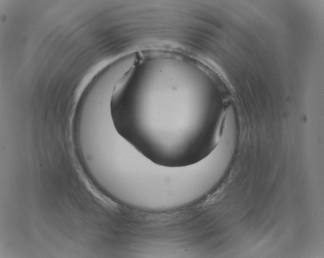 X0000076271128200610262023