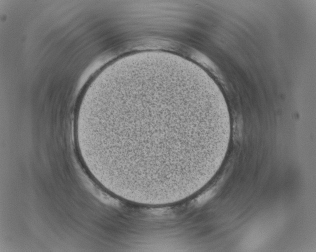 X0000076271130200610262024