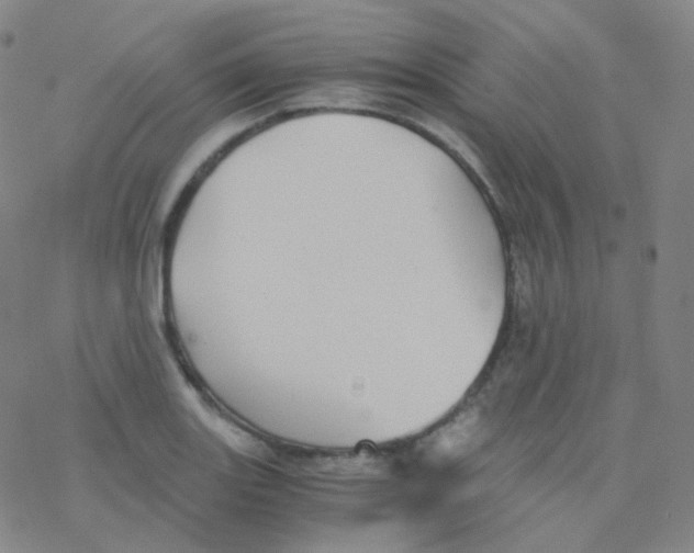 X0000076271131200610262024