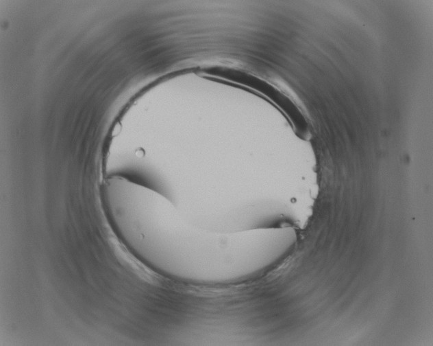 X0000076271132200610262024