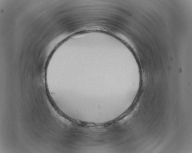 X0000076271133200610262024