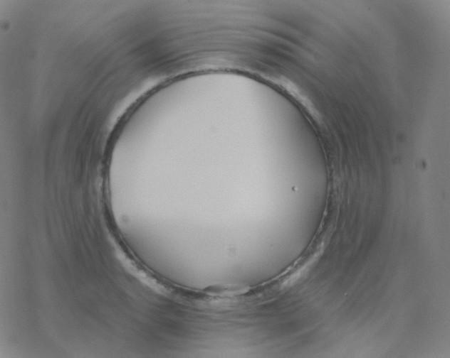 X0000076271134200610262024