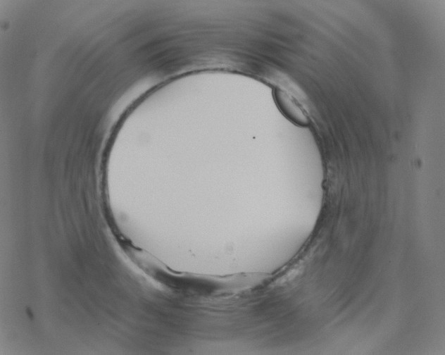 X0000076271135200610262024