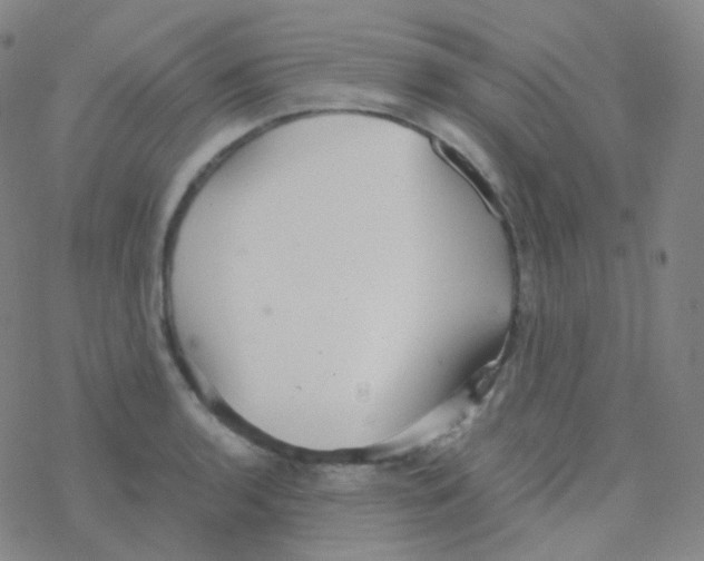 X0000076271136200610262024