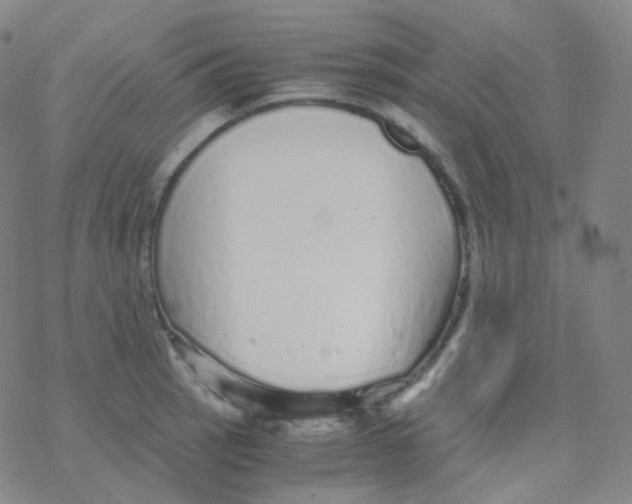 X0000076271137200610262024