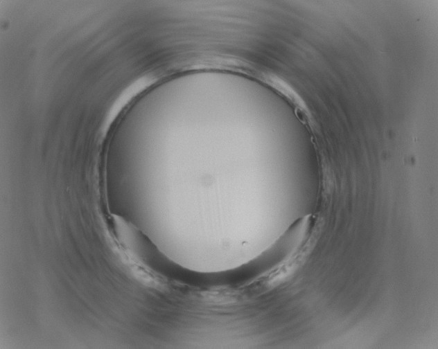 X0000076271138200610262024