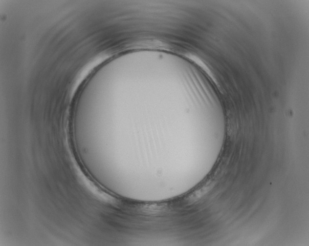 X0000076271139200610262024