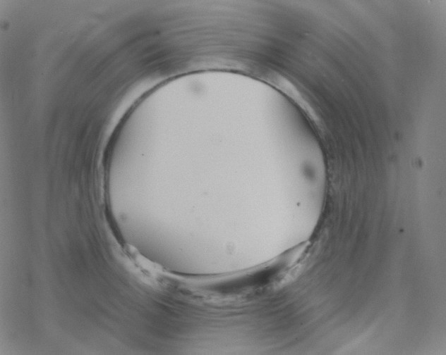 X0000076271140200610262024