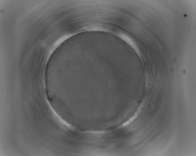 X0000076271141200610262024