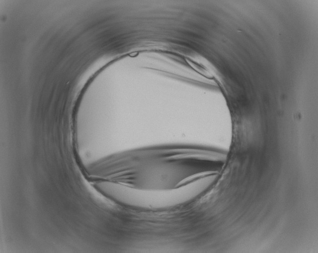 X0000076271143200610262024