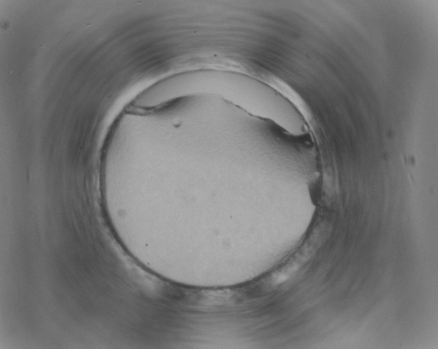 X0000076271144200610262024