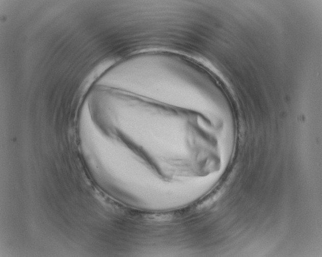 X0000076271145200610262024