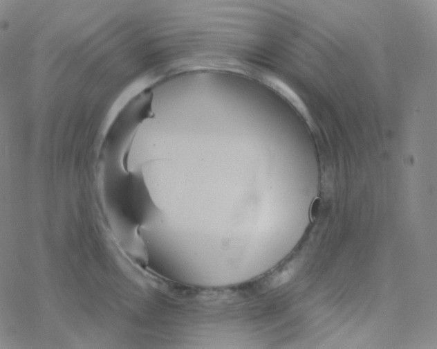 X0000076271146200610262024