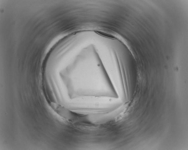 X0000076271147200610262024