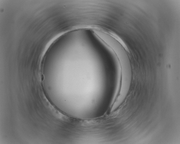 X0000076271148200610262024